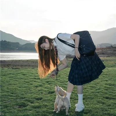 狐狸猎手 封面